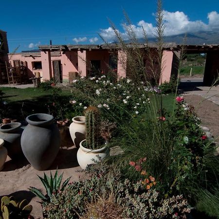 Finca Huayrapuca Famatina エクステリア 写真