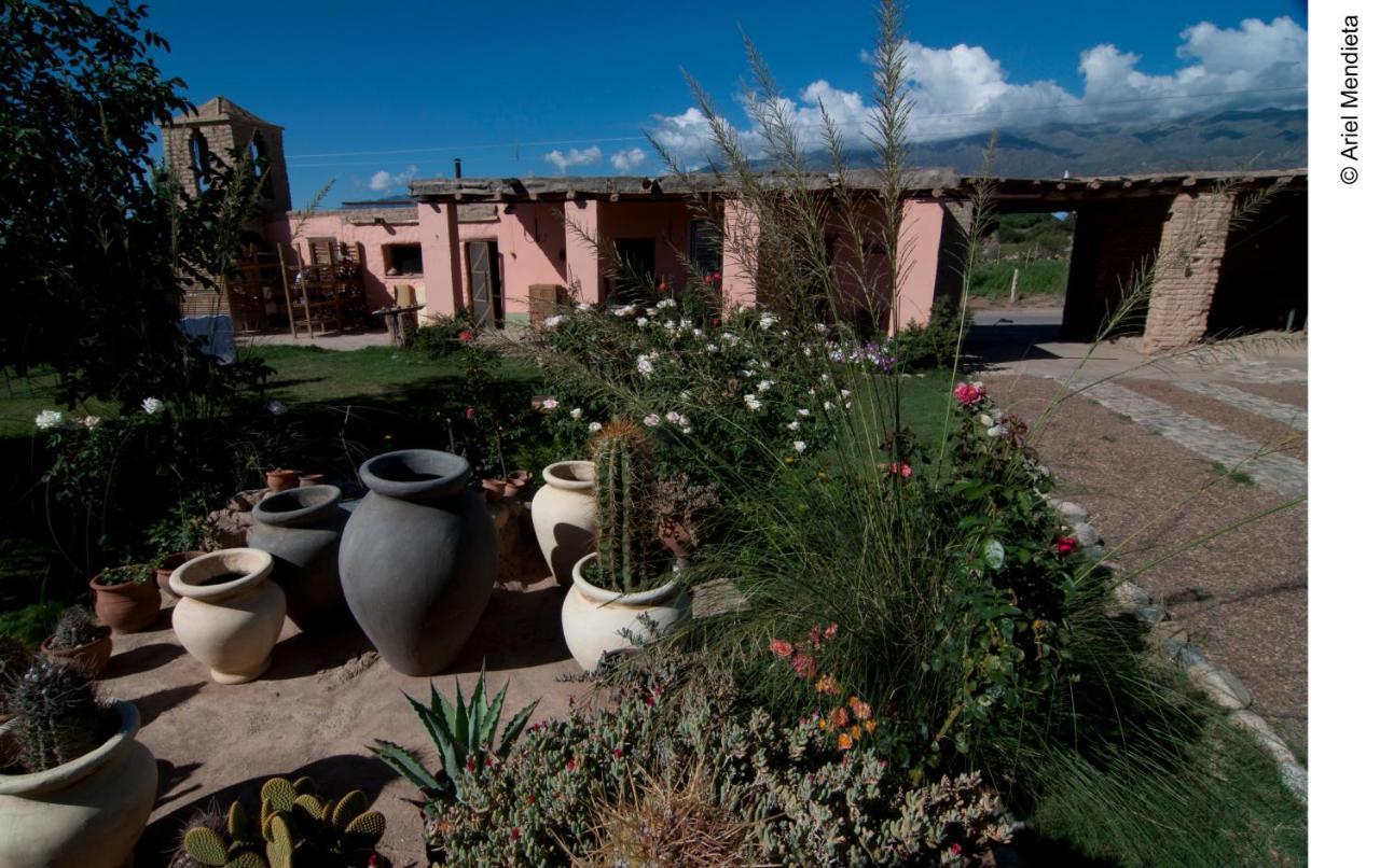 Finca Huayrapuca Famatina エクステリア 写真