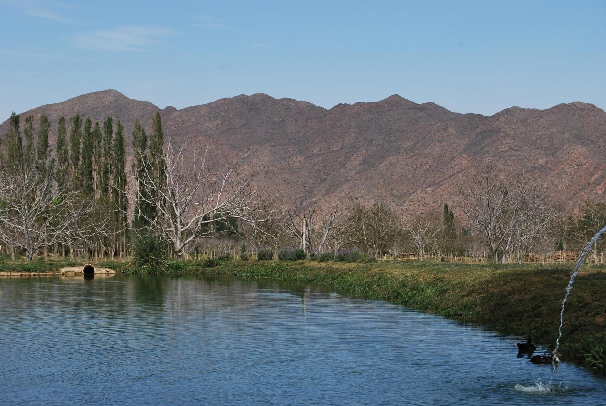Finca Huayrapuca Famatina エクステリア 写真